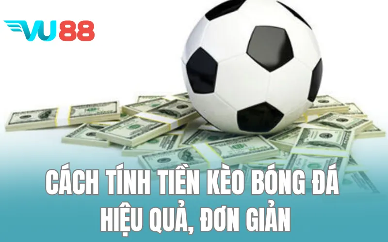 Cách Tính Tiền Kèo Bóng Đá Hiệu Quả, Đơn Giản