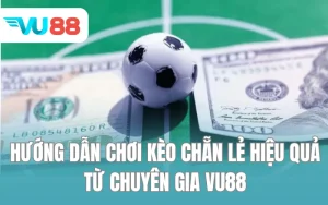 Hướng Dẫn Chơi Kèo Chẵn Lẻ Hiệu Quả Từ Chuyên Gia VU88